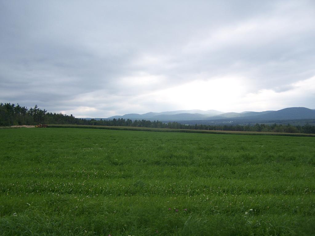 Photo: Landscape