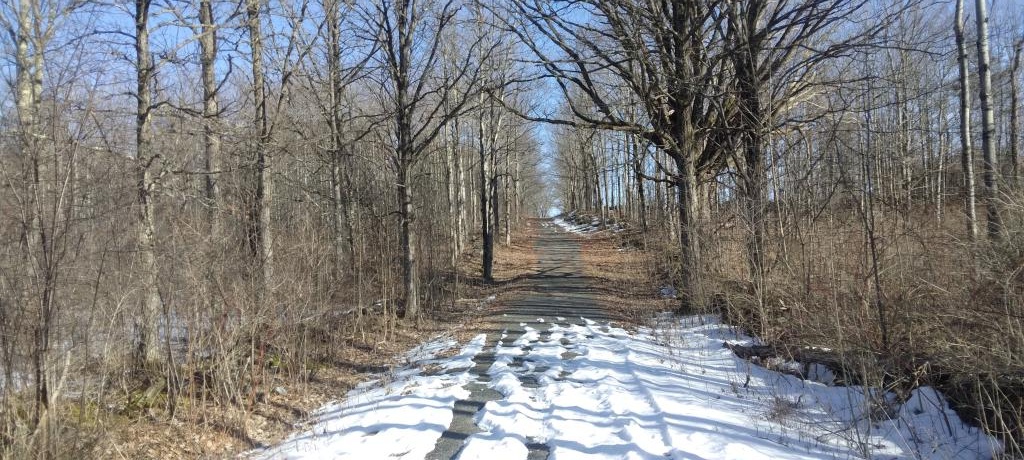 Photo: Old woods road