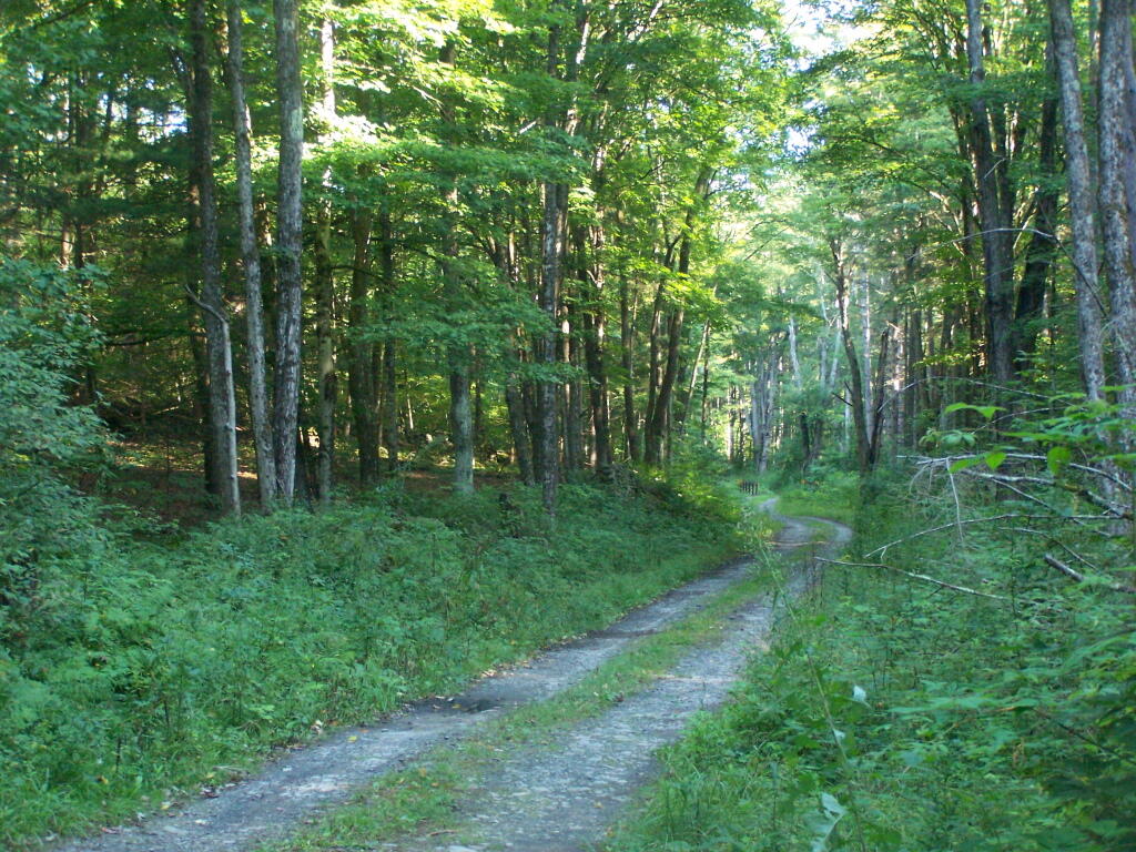 Photo: Betty Brook Road Photo: Betty Brook Road