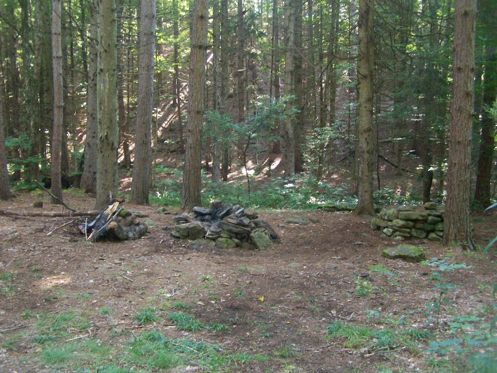 Photo: Betty Brook Site All Cleaned Up