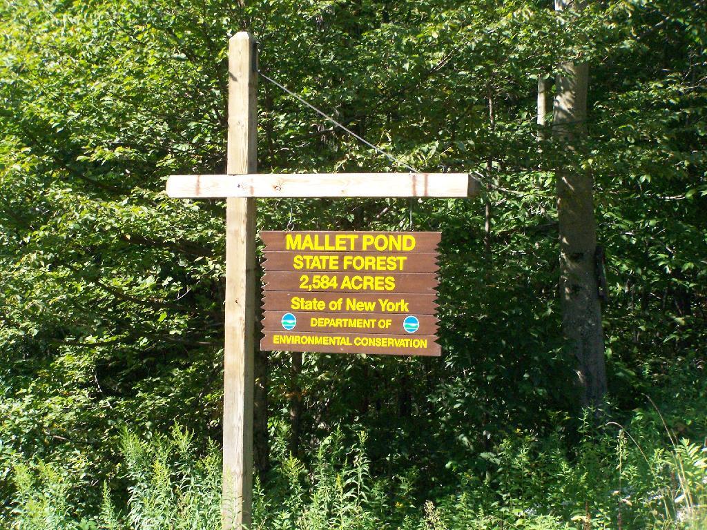 Photo: Mallet Pond State Forest Sign