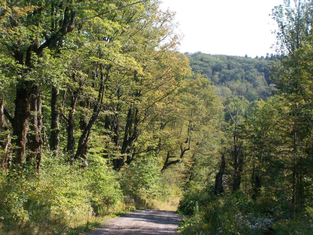 Photo: Rossman Fly Road Photo: Rossman Fly Road