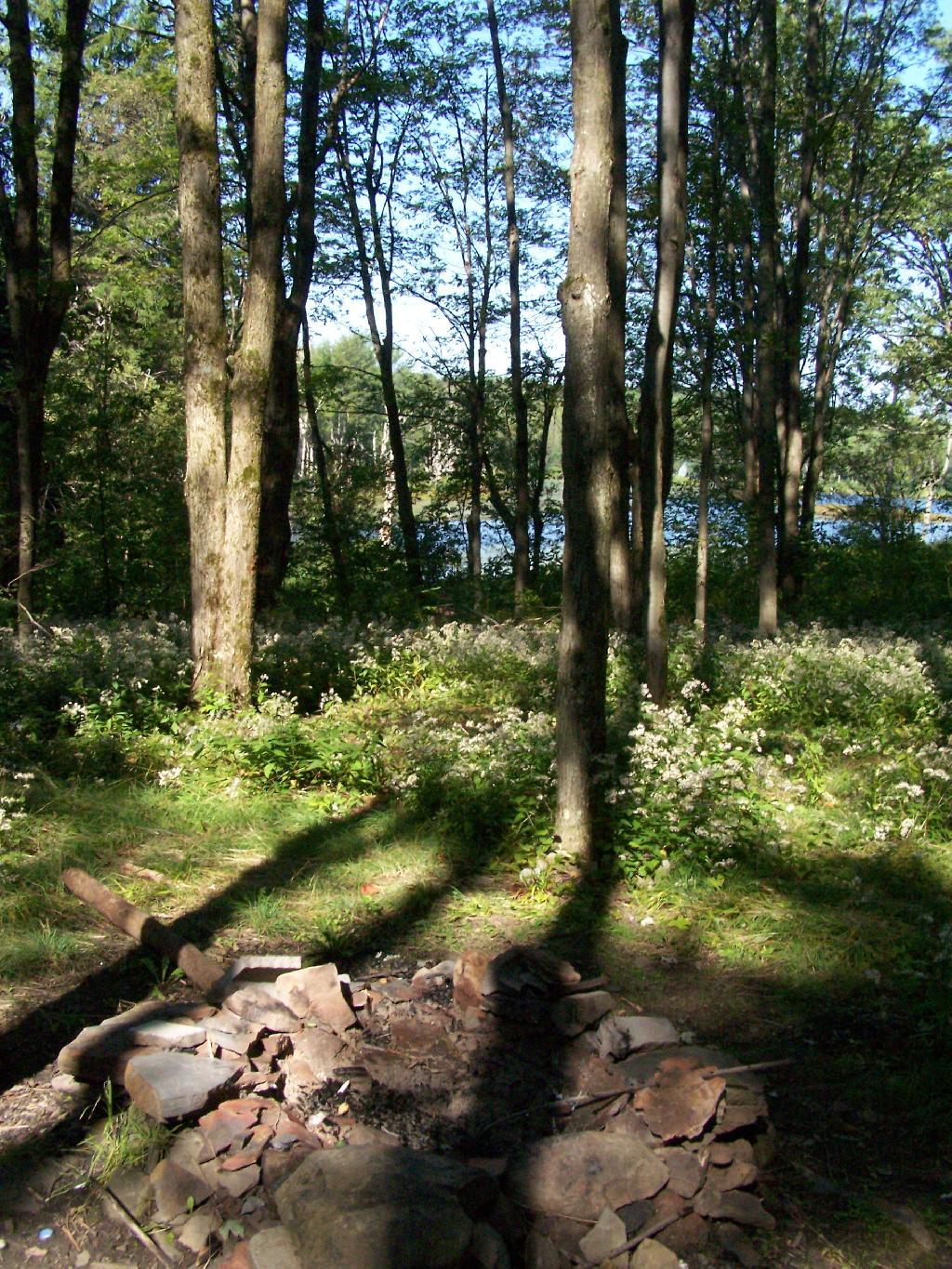 Photo: Close Up of Campsite Photo: Close Up of Campsite