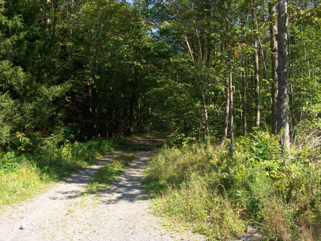 Photo: Rossman Pond Spur Photo: Rossman Pond Spur
