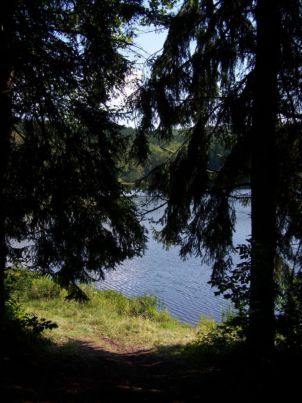 Photo: Pond from Campsite Photo: Pond from Campsite