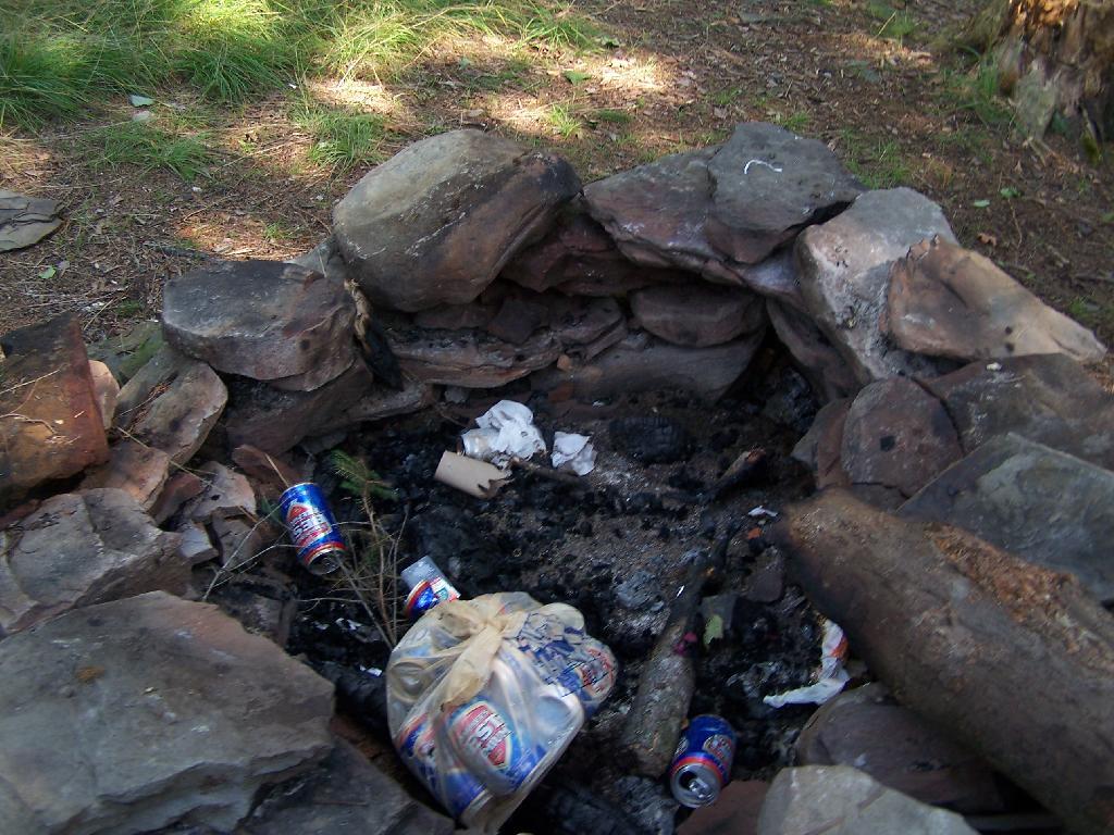 Photo: Trash in the Firepit Photo: Trash in the Firepit