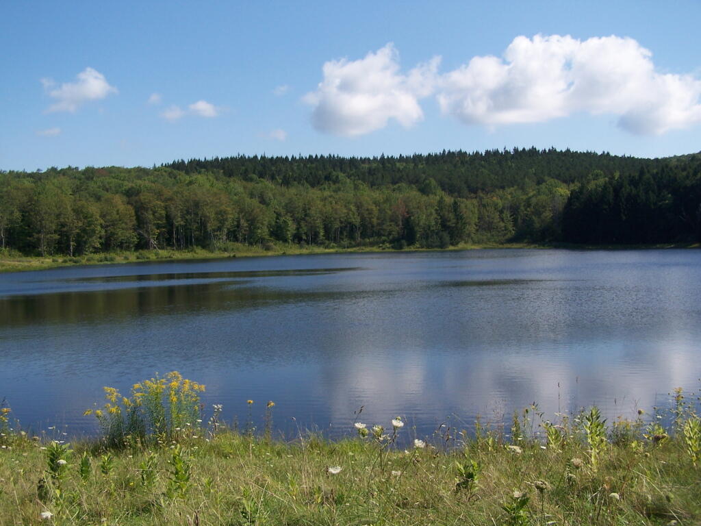 Photo: Mallet Pond Photo: Mallet Pond