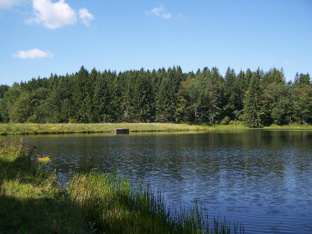 Photo: Mallet Pond Dam Photo: Mallet Pond Dam