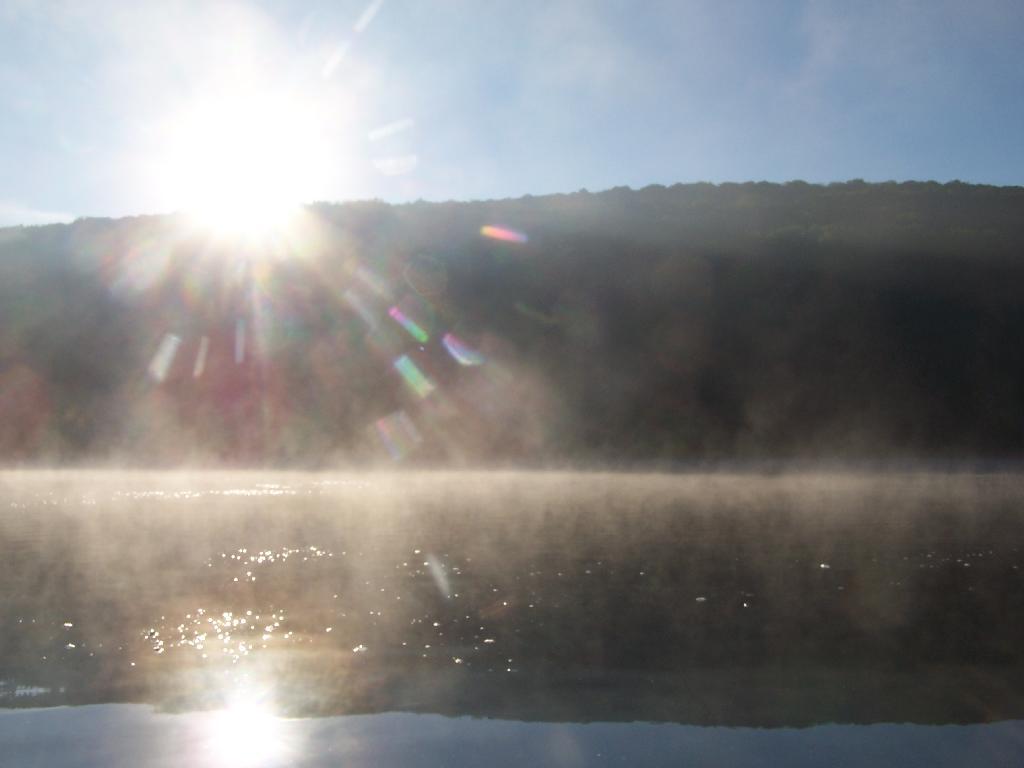 Photo: Sunlight Photo: Sunlight