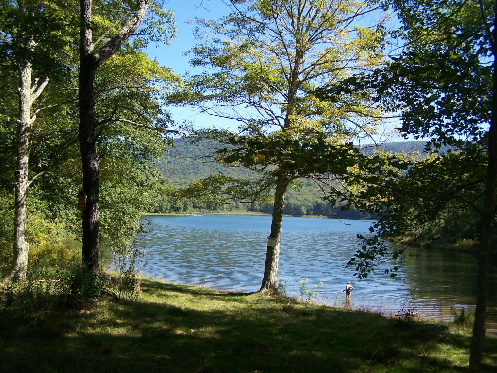 Photo: Informal Swimming Area