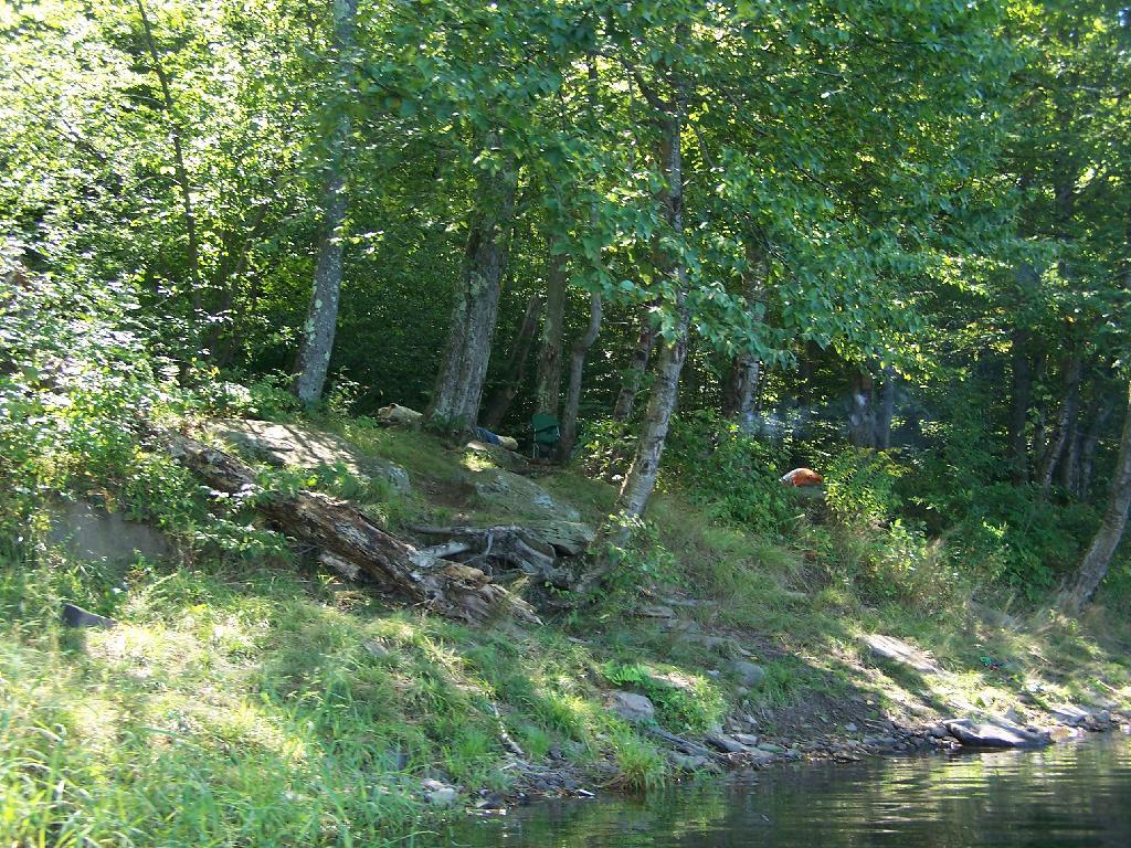 Photo: Campsite Photo: Campsite
