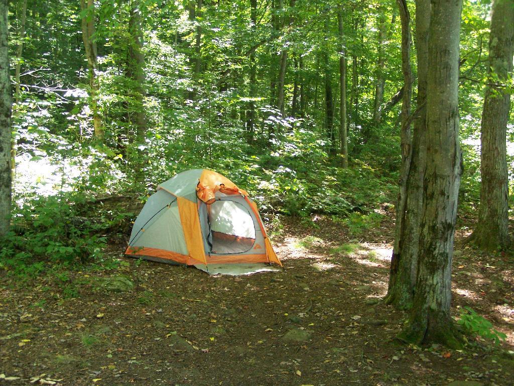 Photo: Tent Photo: Tent