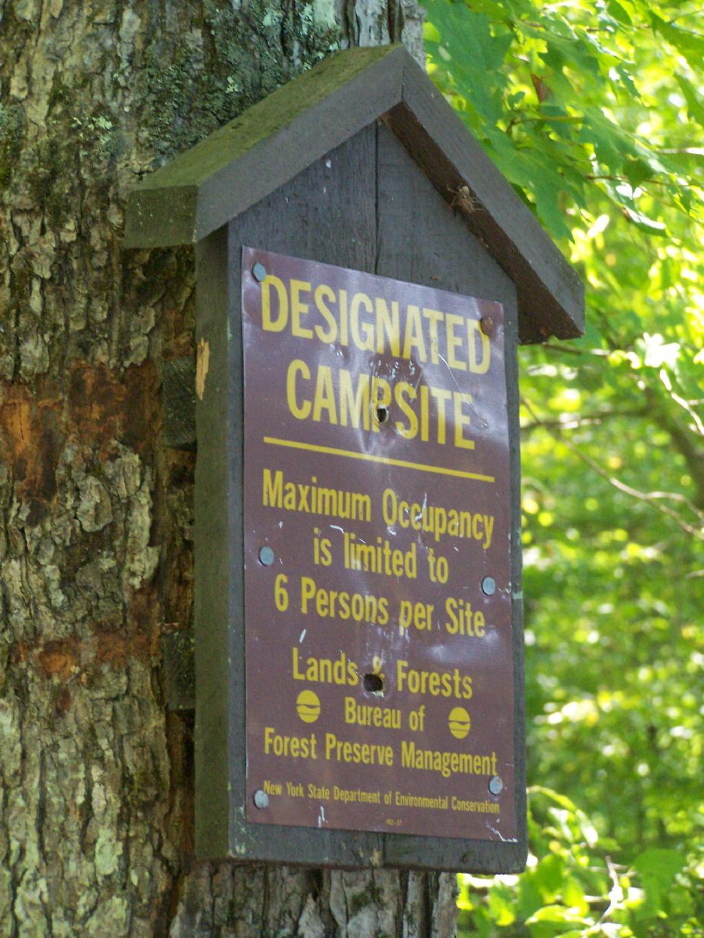 Photo: Designated Campsite Photo: Designated Campsite
