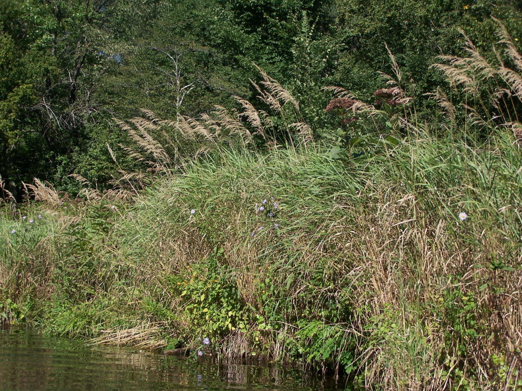 Photo: Along the Edge of Lake
