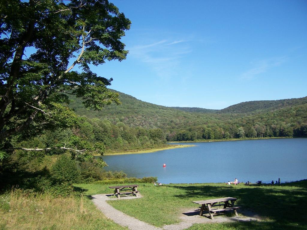 Photo: Picnic Tables at Alder Pond