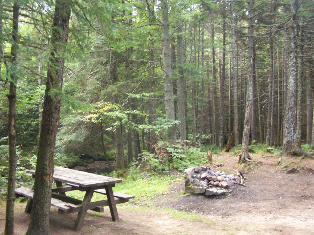 Photo: Campsite 2 Closer Up