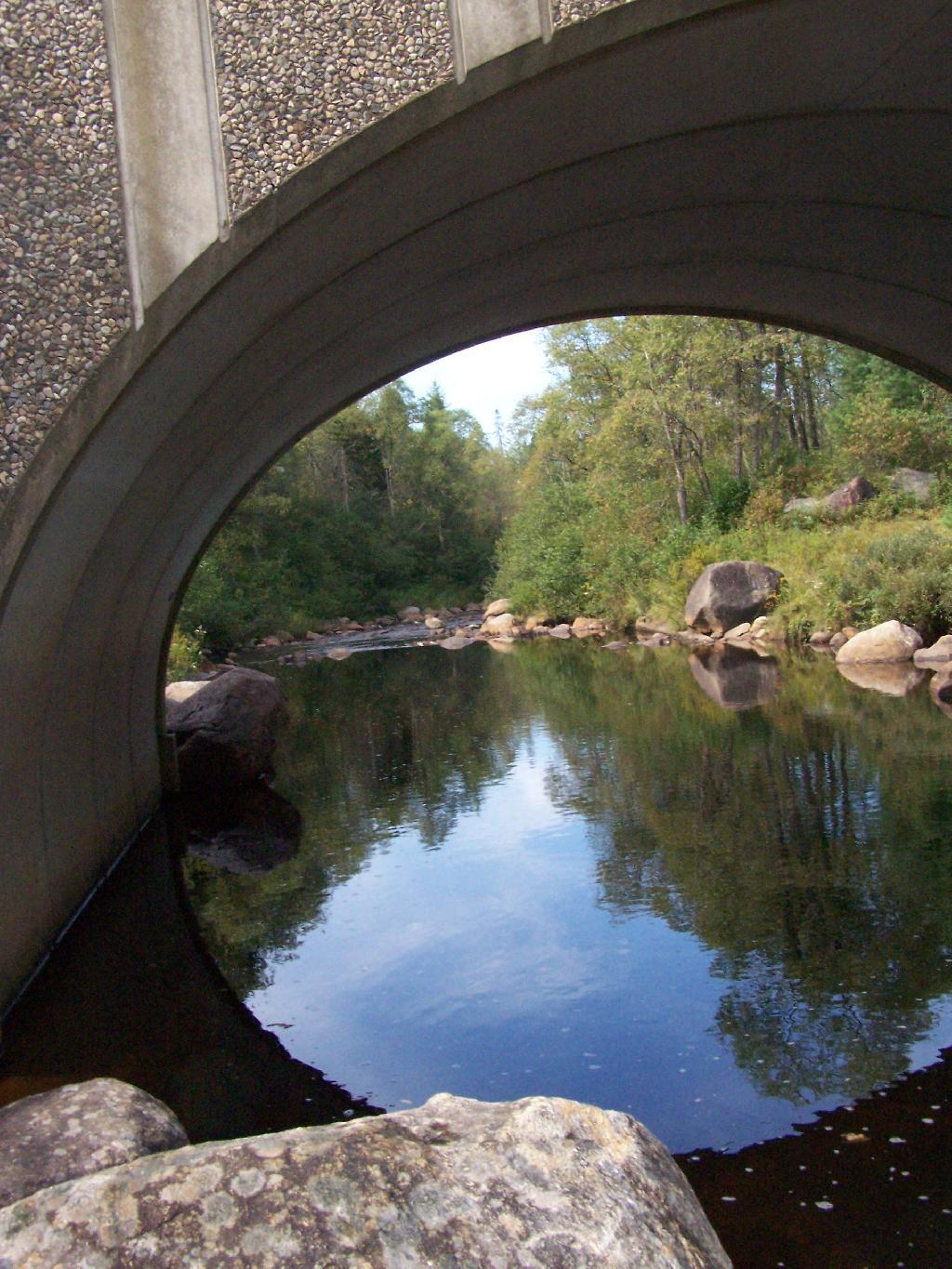 Photo: Under Moose River Bridge Photo: Under Moose River Bridge