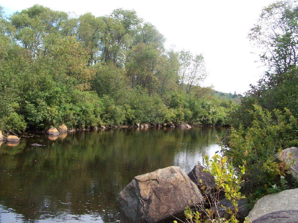 Photo: North from Bridge