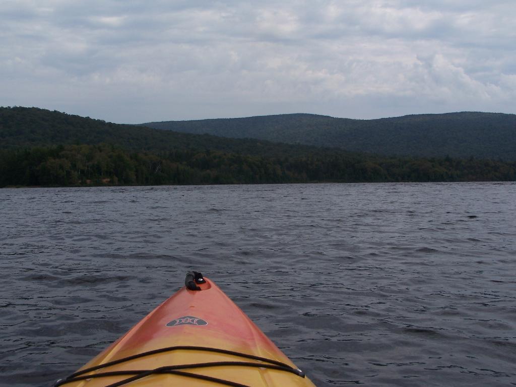 Photo: Along Cedar Flow