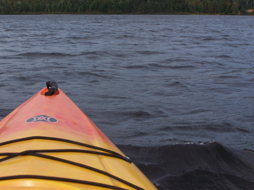 Photo: Hitting Wave