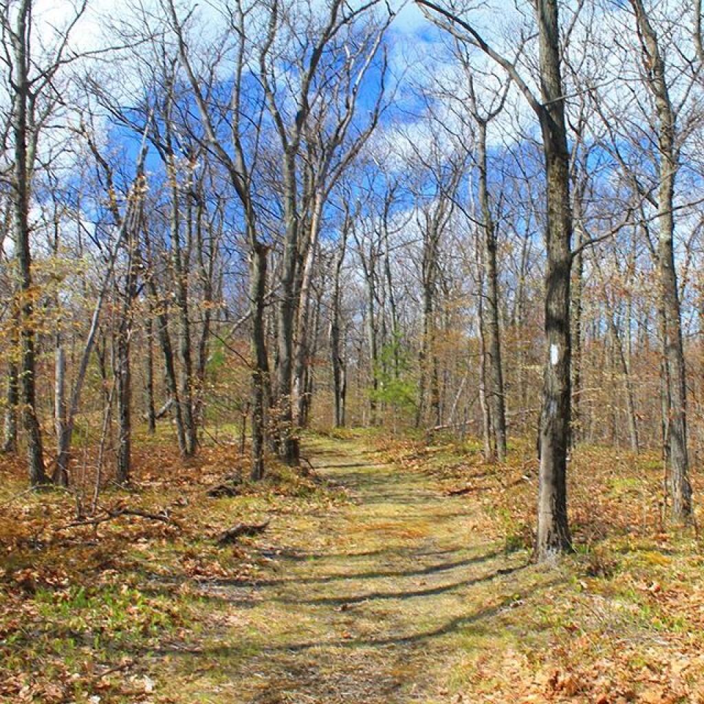 Photo: Top of Wolf Hill Photo: Top of Wolf Hill