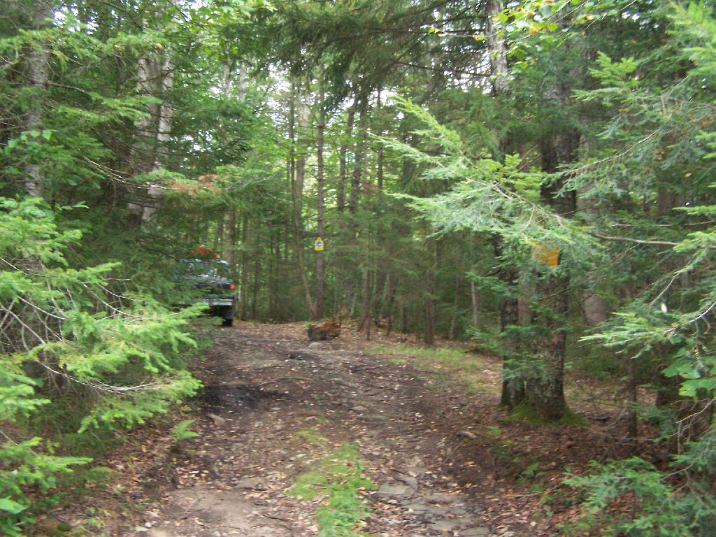 Photo: Campsite Set Back Off the Road Photo: Campsite Set Back Off the Road