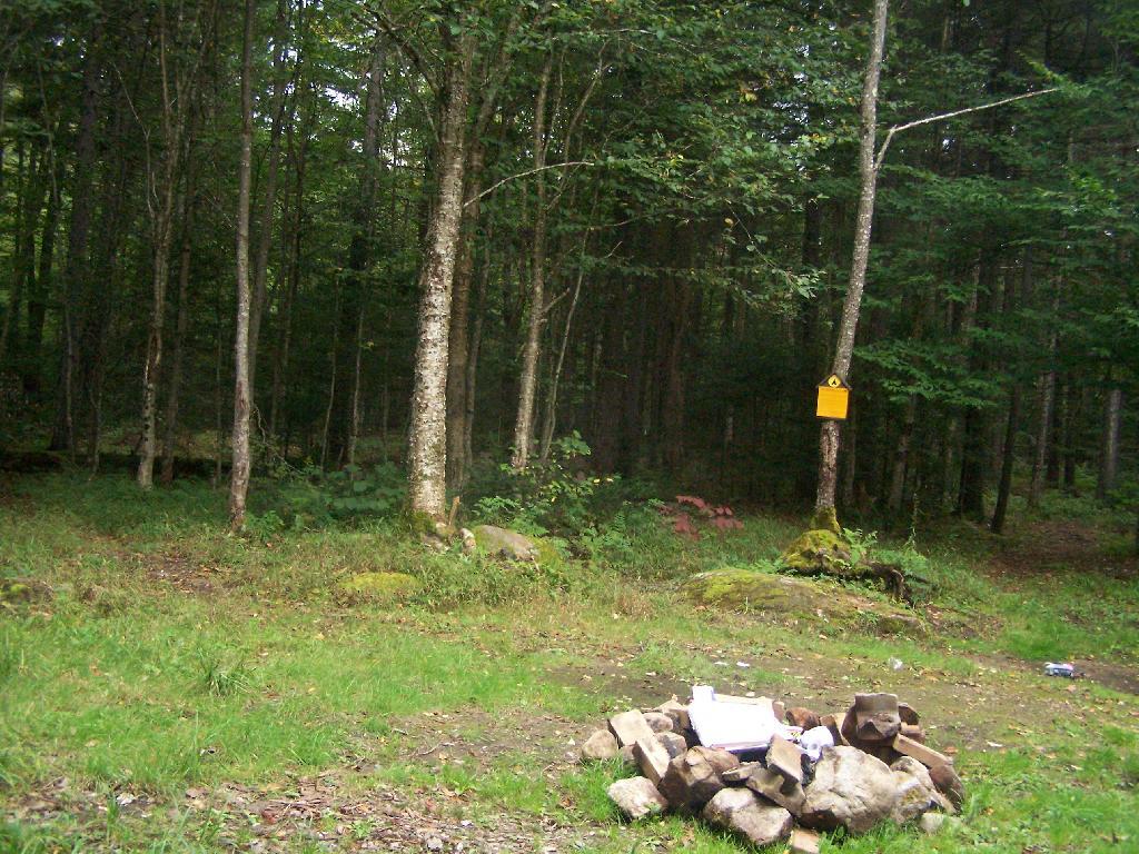 Photo: Another Designated Campsite Photo: Another Designated Campsite