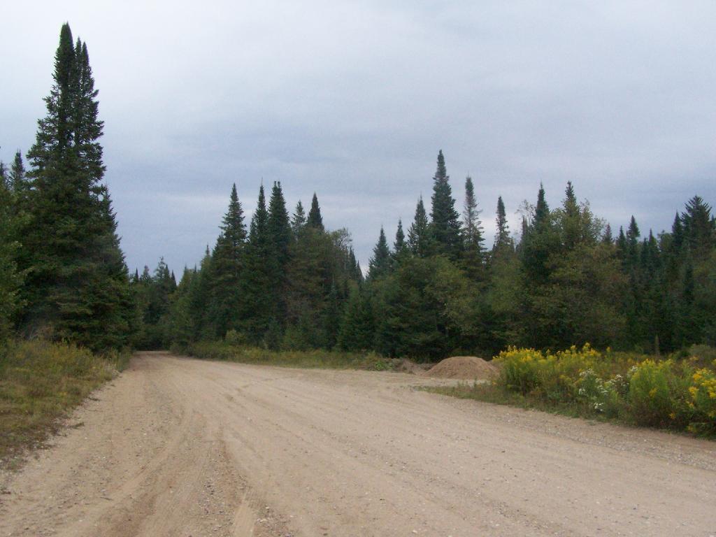 Photo: Plains of East Canada Creek