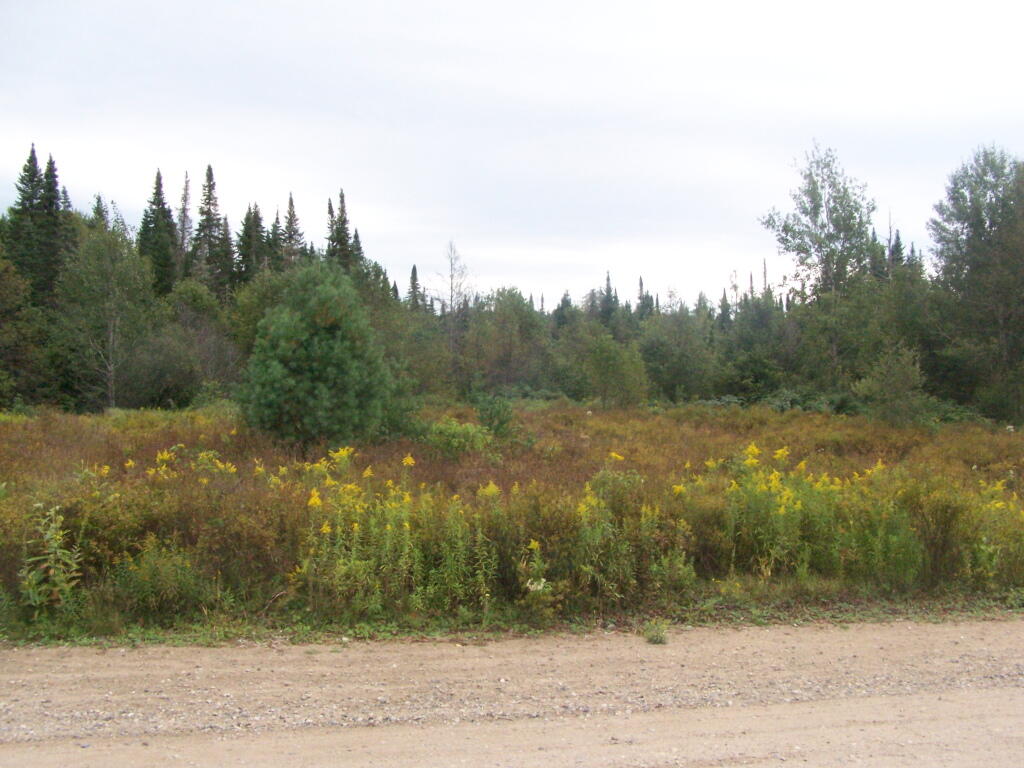 Photo: Plains of East Canada Creek Photo: Plains of East Canada Creek