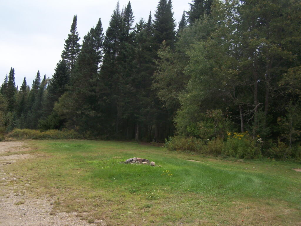 Photo: Designated Campsite Right on the Road Photo: Designated Campsite Right on the Road