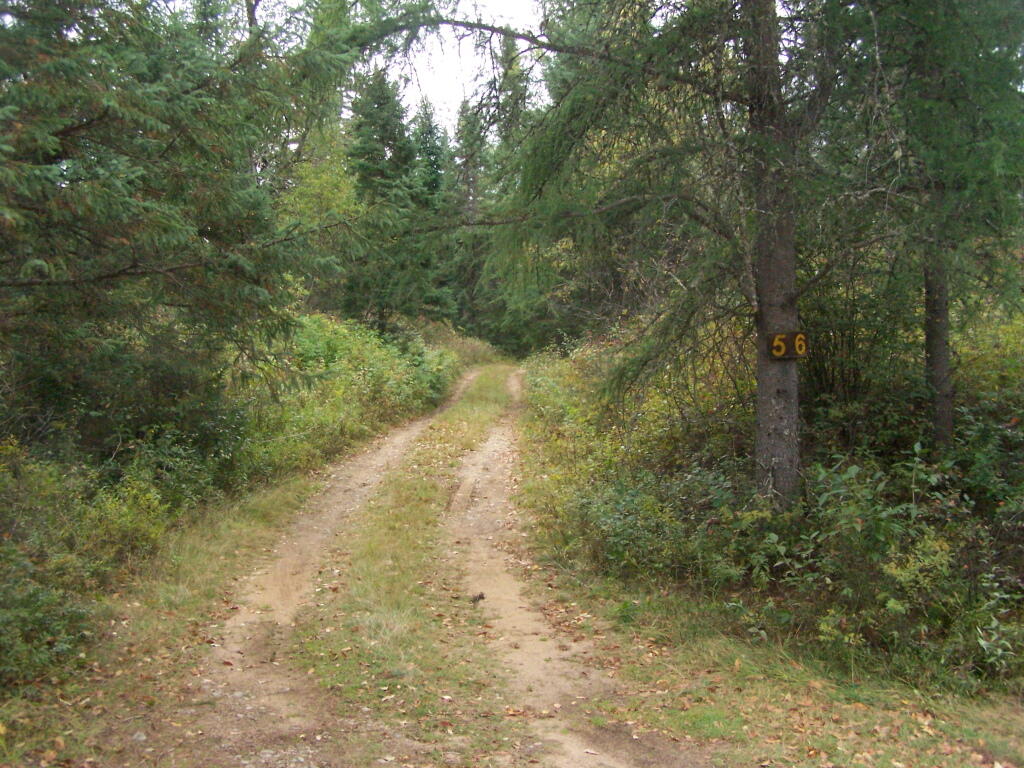 Photo: Campsite 56