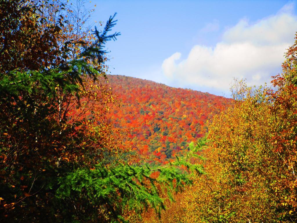 Photo: Lots of Color on North Bearpen