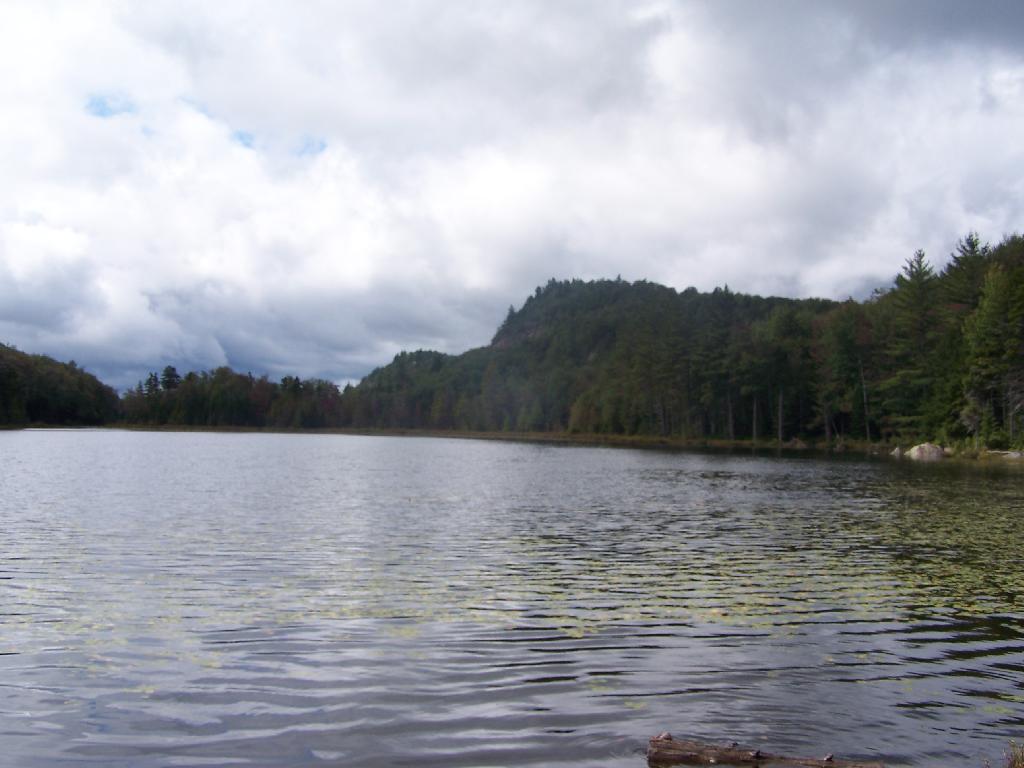 Photo: Mitchell Ponds