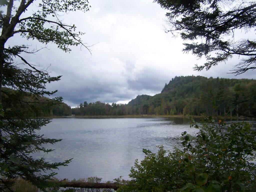 Photo: Mitchells Ponds