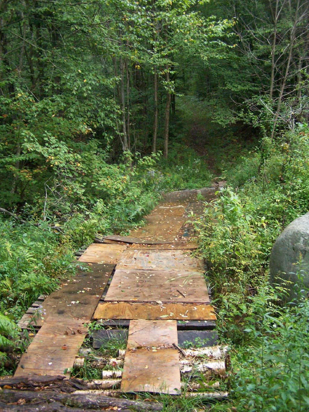 Photo: Trail Beyond the Handicap Trail