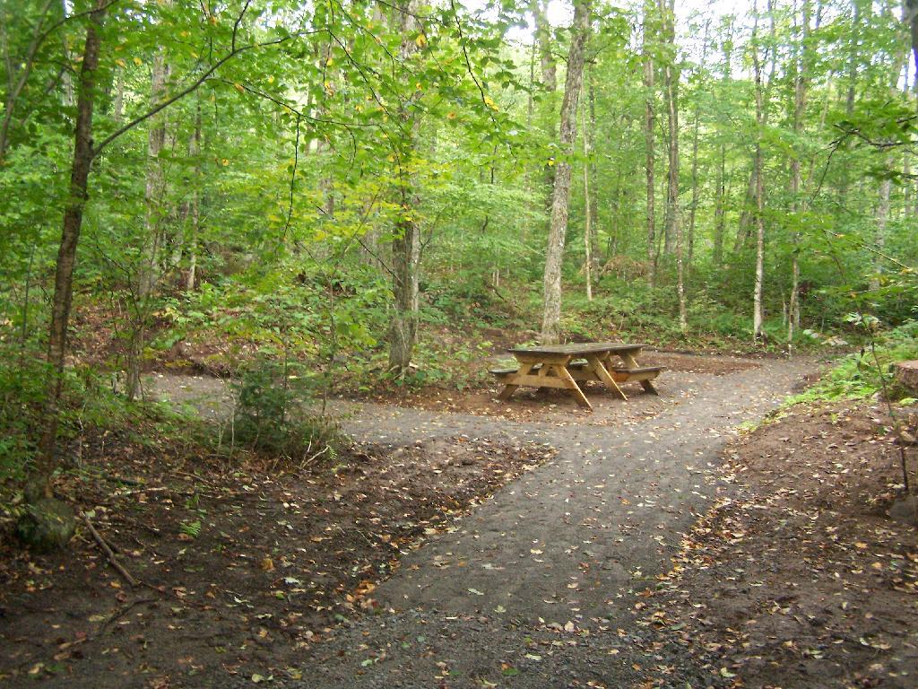 Photo: New Handicap Campsite