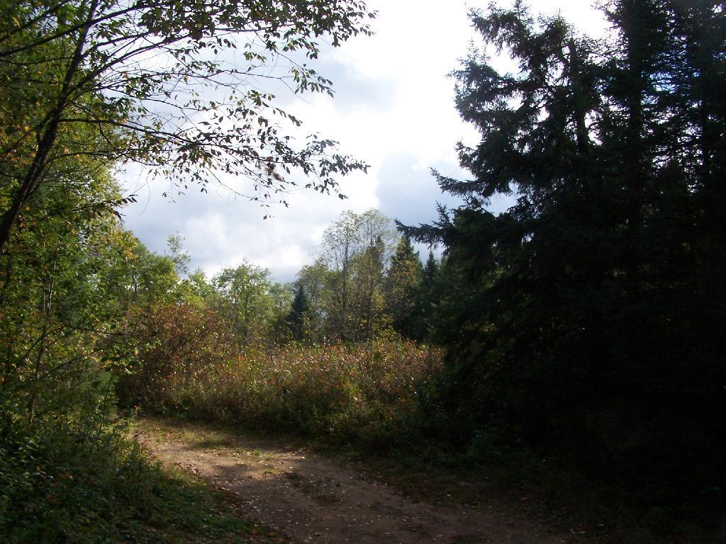 Photo: Clearing Out in the Morning