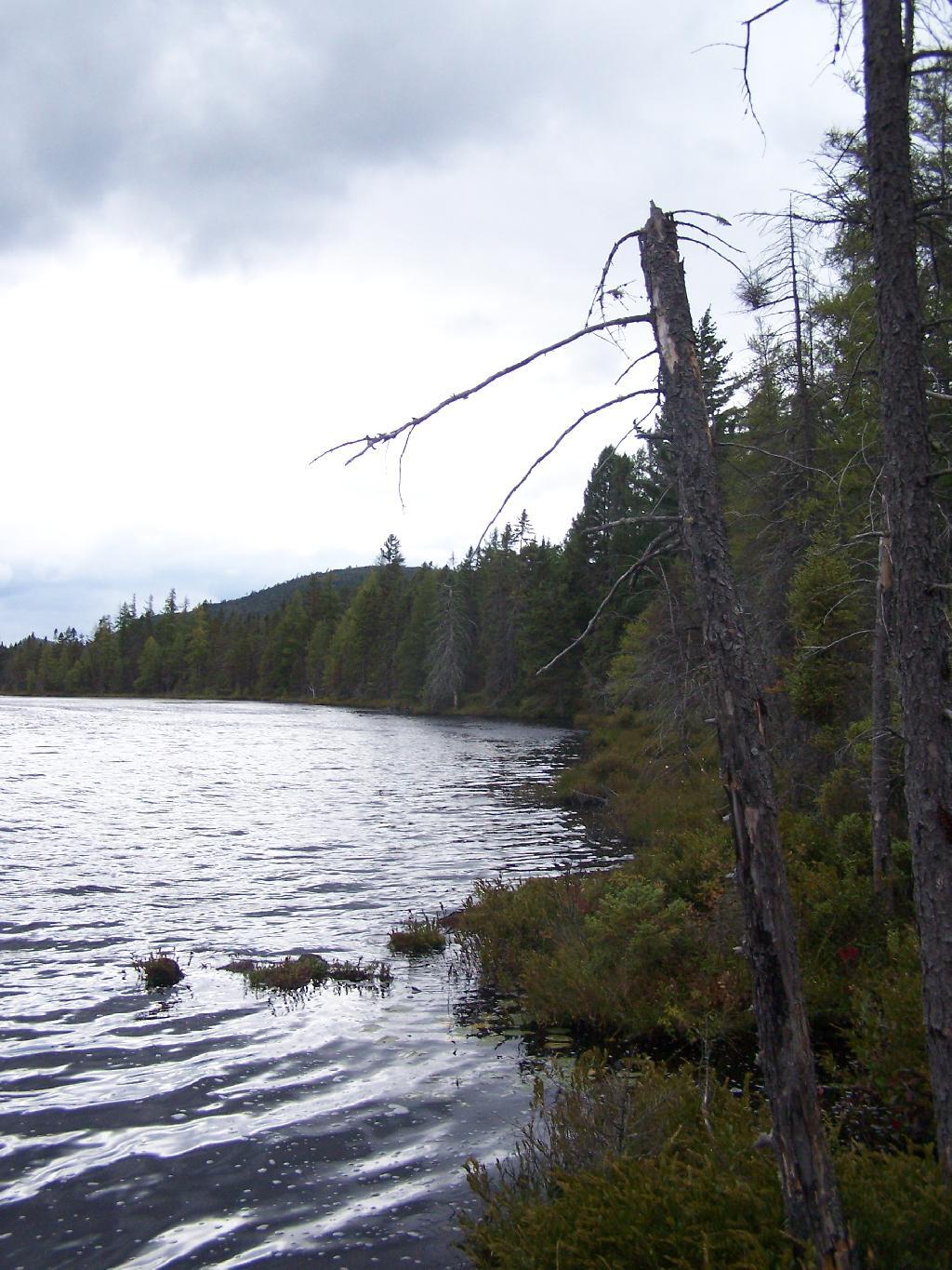 Photo: Edge of Helldiver Pond