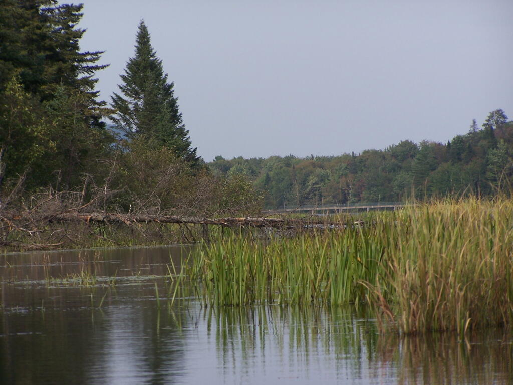 Photo: Paddling Around Payne Brook Photo: Paddling Around Payne Brook