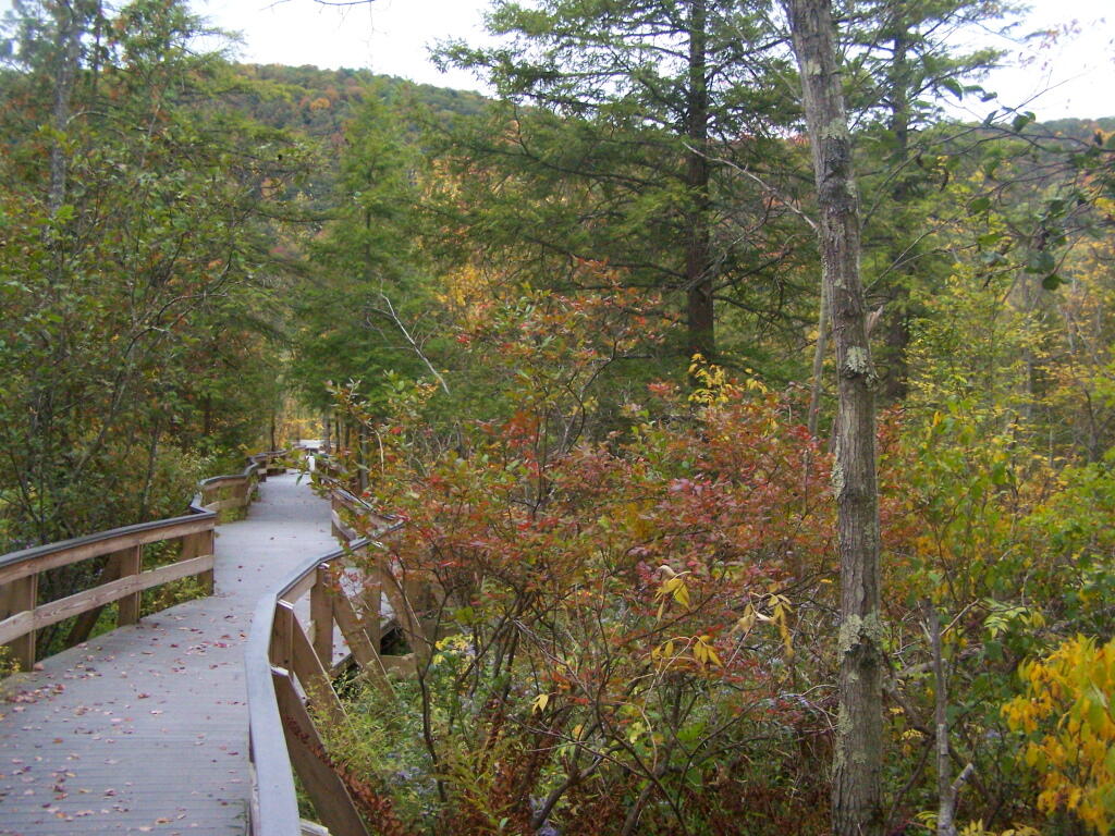 Photo: Walkway