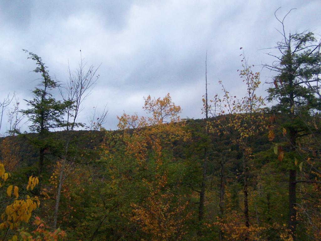 Photo: Labrador Mountain