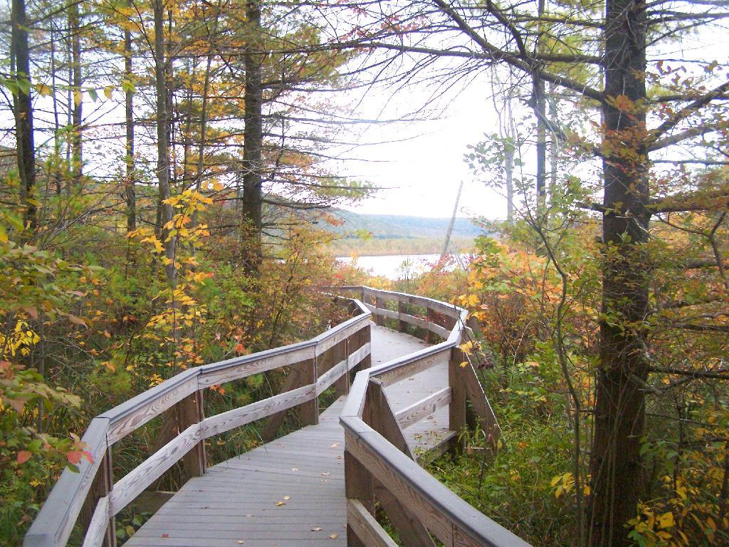 Photo: Walkway Photo: Walkway