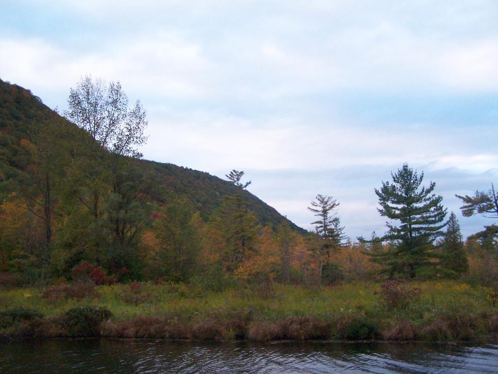 Photo: Near Canal At Labrador Lake Photo: Near Canal At Labrador Lake