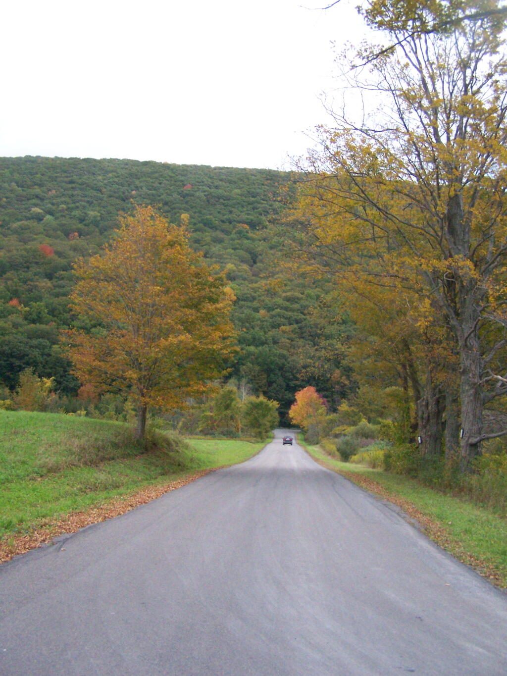 Photo: Cross Road Towards Jones Mountain Photo: Cross Road Towards Jones Mountain