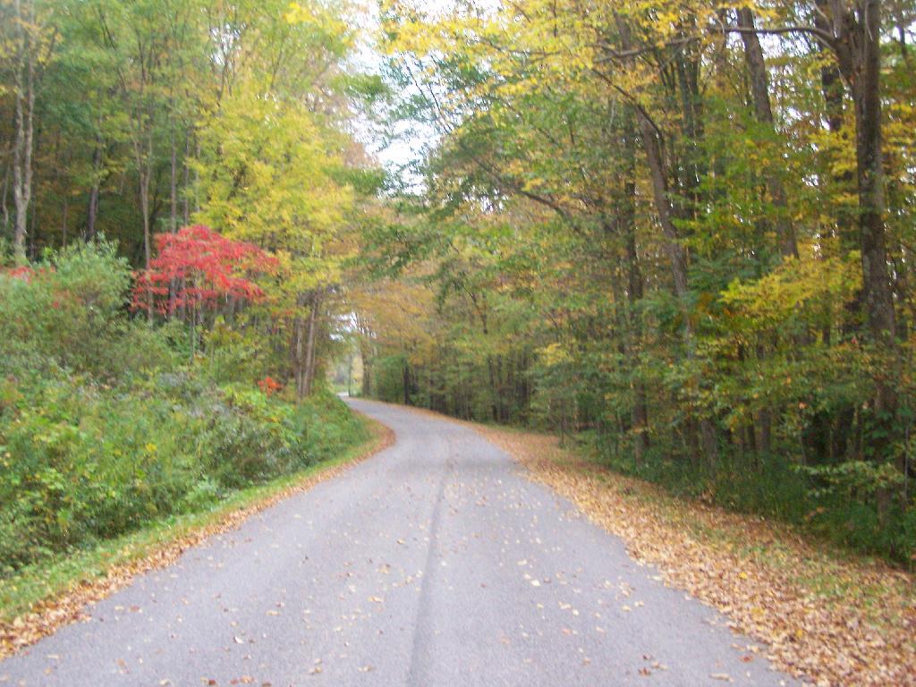 Photo: Markham Hollow Road