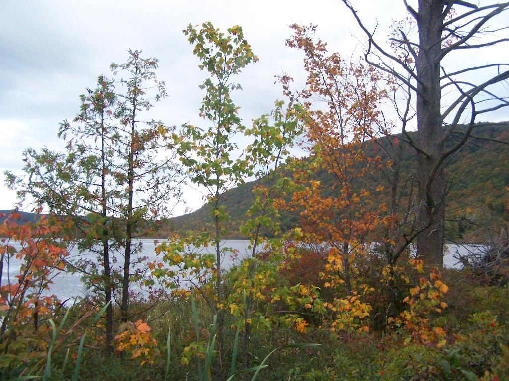 Photo: Fall Colors Along Pond Photo: Fall Colors Along Pond