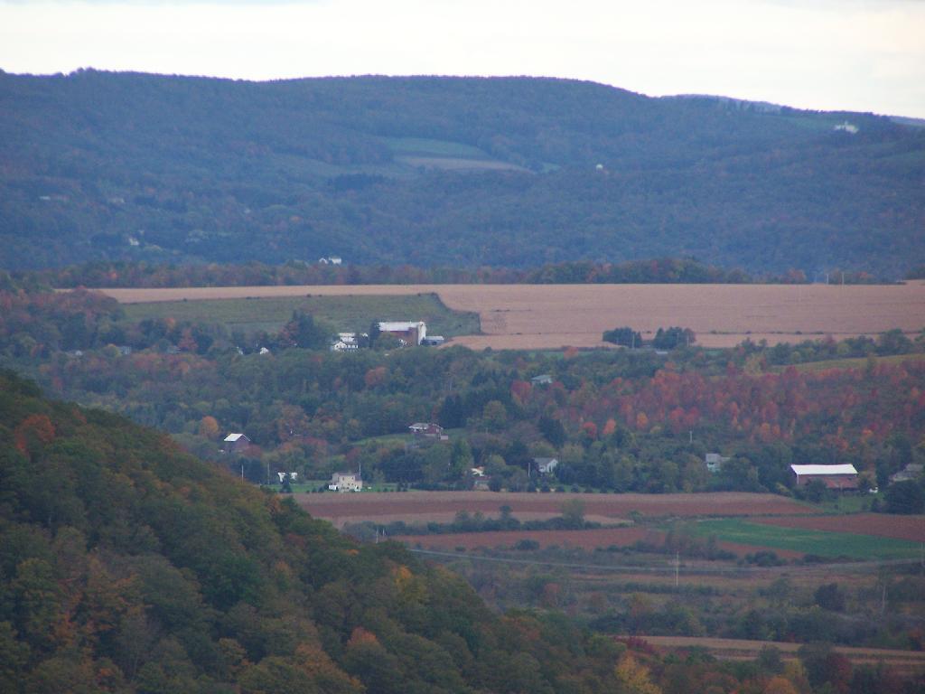 Photo: Edge of Labrador Hill