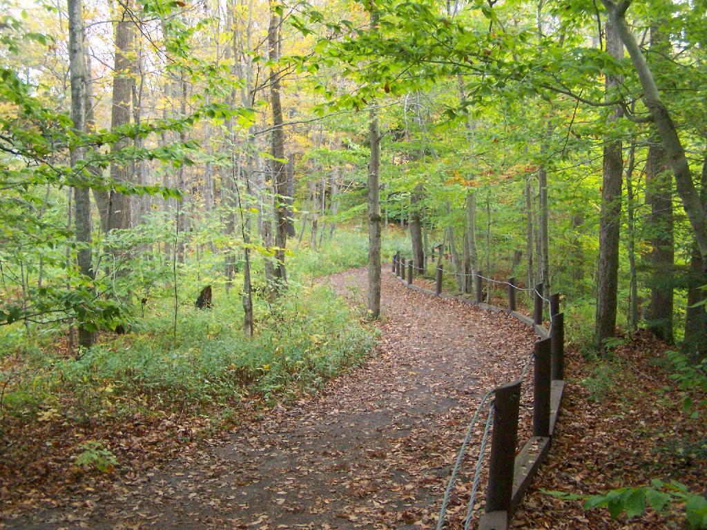 Photo: Salmon River Path Photo: Salmon River Path