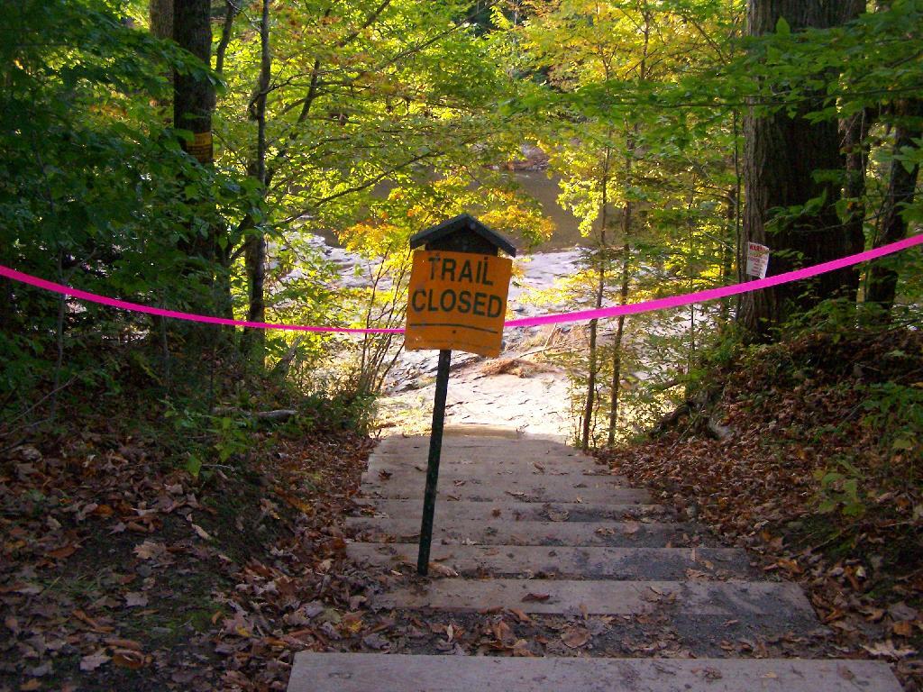 Photo: Trail Down to Salmon River