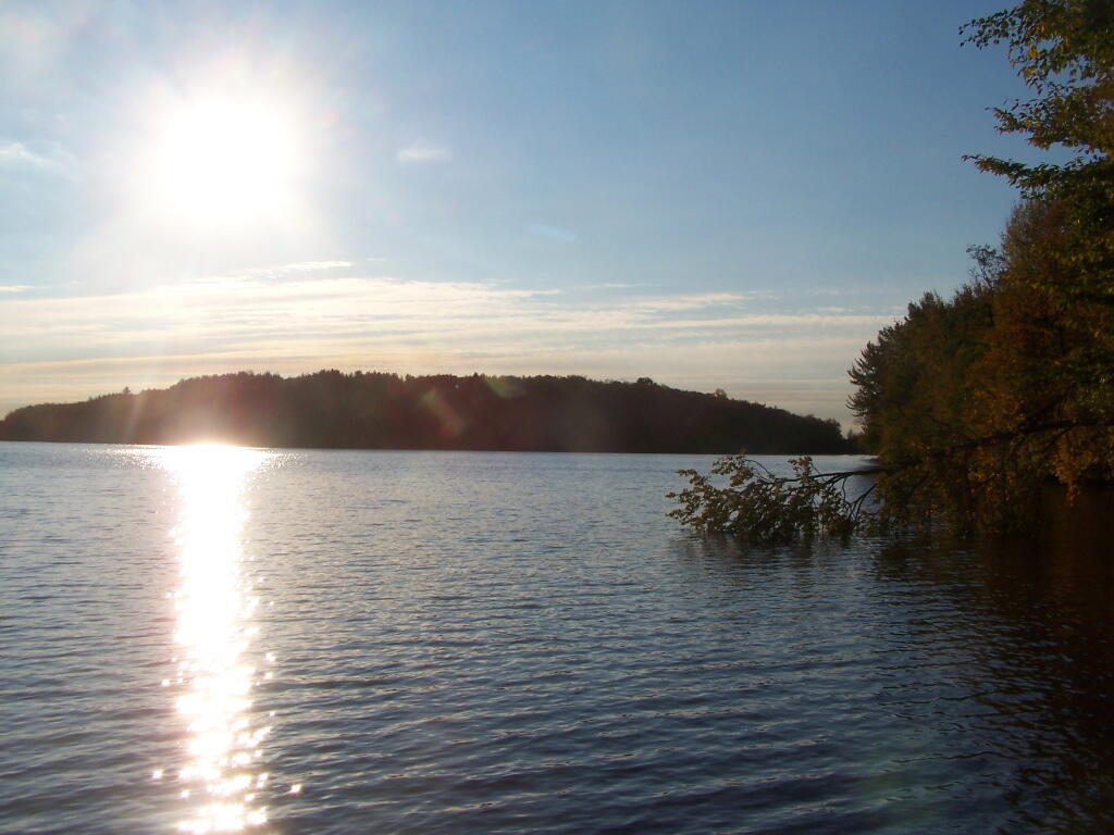 Photo: Salmon River Reflects Photo: Salmon River Reflects